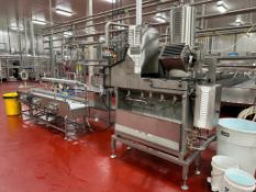 Pasta Filata Washing and Forming Machine