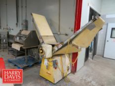 Rondo Dough Sheeter with Conveyor: 24” Width