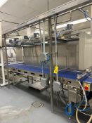 Conveyor: 37.75’ x 27” with Wash System, Scrapper and Drive