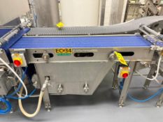 Conveyor: 56” x 12” with Wash System and Drive