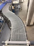 S-Style Conveyor: 9’ x 12” with Wash System and Drive
