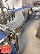S-Style Conveyor: 9’ x 12” with Wash System and Drive