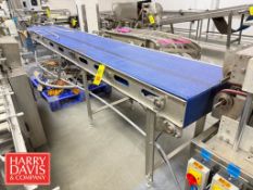 Conveyor: 13.75' x 24”