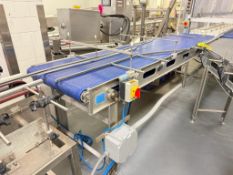 Conveyor: 10’ x 24”