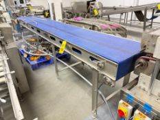 Conveyor: 13.75' x 24”