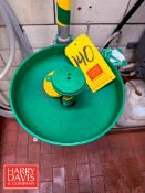 Haws Emergency Eyewash and Shower Station