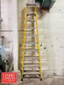 Werner A-Frame Ladder: 10'