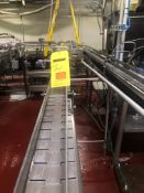 S/S Frame Outfeed Conveyor (Location: Williamsport, PA)