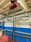 Dayton 300 LB Capacity Chain Hoist