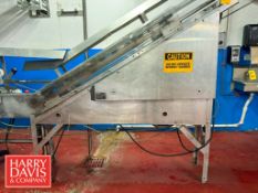 Dyco S/S Elevator Conveyor