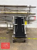 Portable S/S Incline Accumulation Table