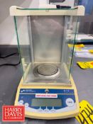 Denver Instruments Analytical Balance Scale, Model: SI-114