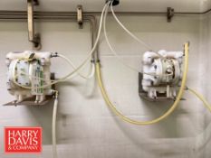 (8) Chemical Pumps and ProMinent Metering Pump