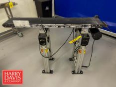 Variable Speed Portable Conveyor with Drive