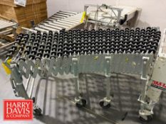 NestaFlex 226 Flexible Conveyor
