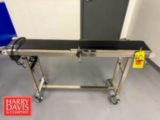 Variable Speed S/S Frame Portable Conveyor