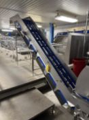Elevated S/S Modular Plastic Belt Conveyor (Location: Dexter, MO)