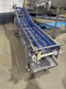 S/S Multi-Lane Plastic Chain Conveyor: 22