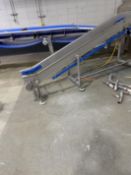 Portable S/S Multi-Lane Plastic Chain Incline Conveyor (Location: Dexter, MO)