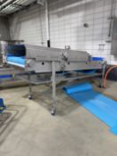 S/S Conveyor with Delumper Applicator: 47