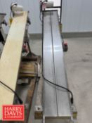 S/S Frame Inclined Power Belt Conveyor: 78