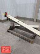 S/S Frame Inclined Power Belt Conveyor: 78