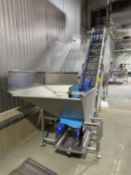 S/S Incline Conveyor with Belt & Hopper (Location: Dexter, MO)