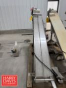 S/S Frame Inclined Power Belt Conveyor: 78