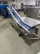S/S Incline Conveyor with Vertical Elevator Section (Location: Dexter, MO)