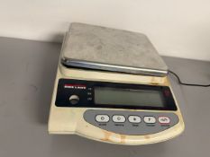 Rice Lake Lab Scale