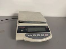 Rice Lake Lab Scale