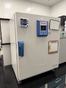 Thermo Scientific Heratherm Oven