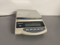 Rice Lake Lab Scale