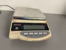 Rice Lake Lab Scale