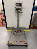 Mettler Toledo Pallet Scale