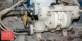 Wilden Diaphragm Pump