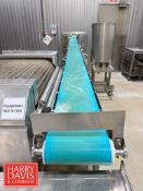 S/S Frame Conveyor: 22’ Length x 1” Width with Incline and Drive