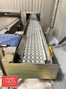 S/S Frame Freezer Conveyor: 1’ Width