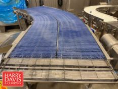 Portable S/S Frame Dual-Track Conveyor: 9' Length x 40