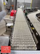 S/S Frame Conveyor: 13’ Length x 13” Width