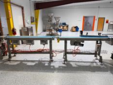 (2) Conveyor: 84” Length x 4.5