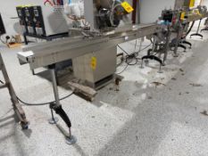 Conveyor: 119” Length x 7” Width (Subject to BULK Bid Lot: 141) (Location: Wrens, GA)