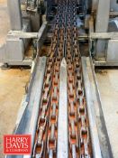 Dual Case Conveyor with 5 HP 1,745 RPM Motor 35' Dual Case Conveyor with 5 HP 1,745 RPM Motor