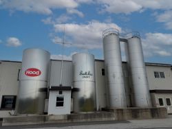 HP Hood Dairy Processing & Packaging