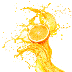 2021 NEVER OPERATED Complete Fruit Juice Extraction & Concentrating Facility