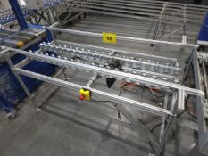 CONVEYOR SYSTEM - 8 FT. 4 CHANNEL IDLER ROLL INFEED, GUN TRAY, BAGT DISPENSER STN., 66 IN. 2 TOLL
