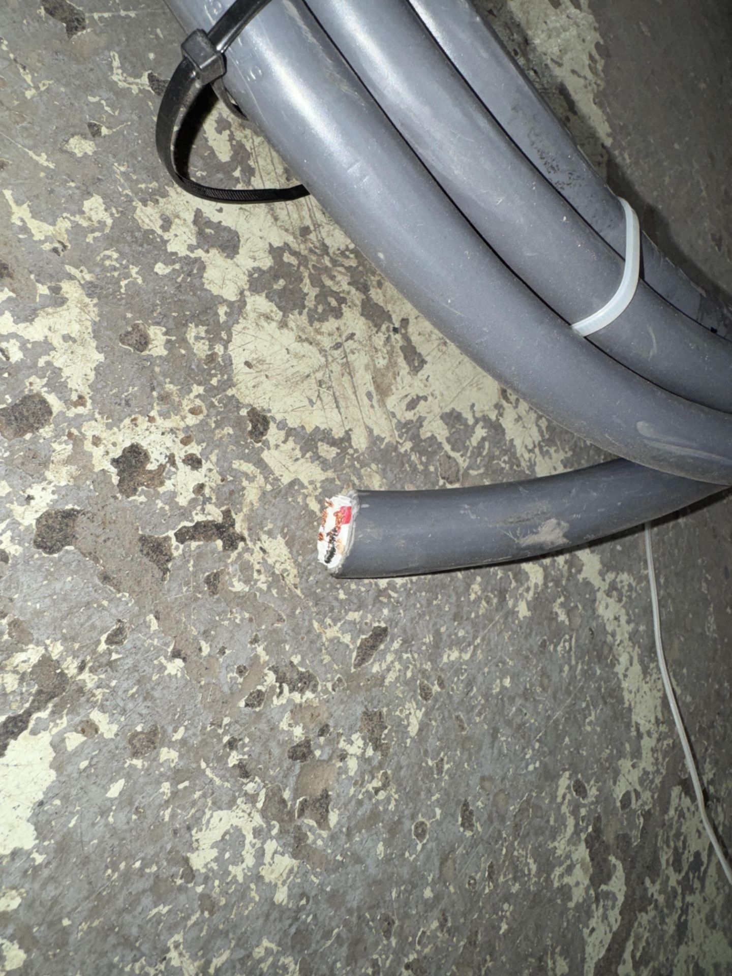 Hubbellock, Female, 6/4 Connection Cord, 60 Amp, 600 Volt - Image 2 of 3