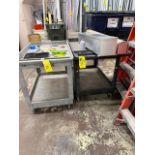 LOT 2 plastic Shop Carts