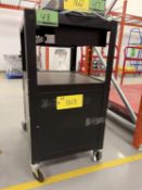 ROLLING STORAGE CART