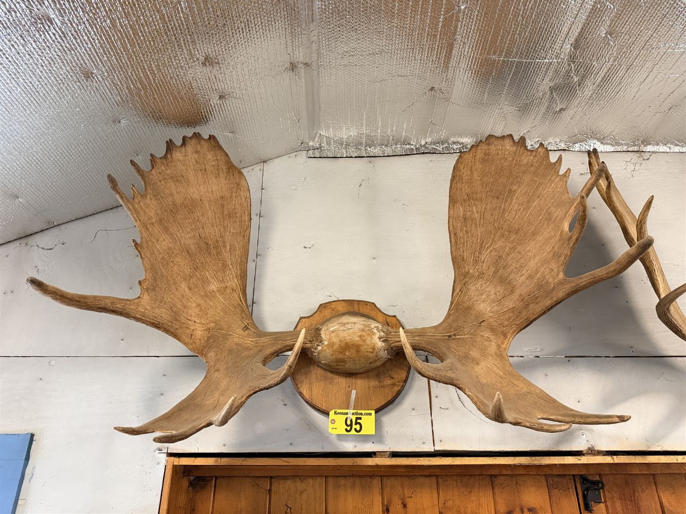 26-36 FIREARMS, FISHING, MOOSE & DEER MOUNTS